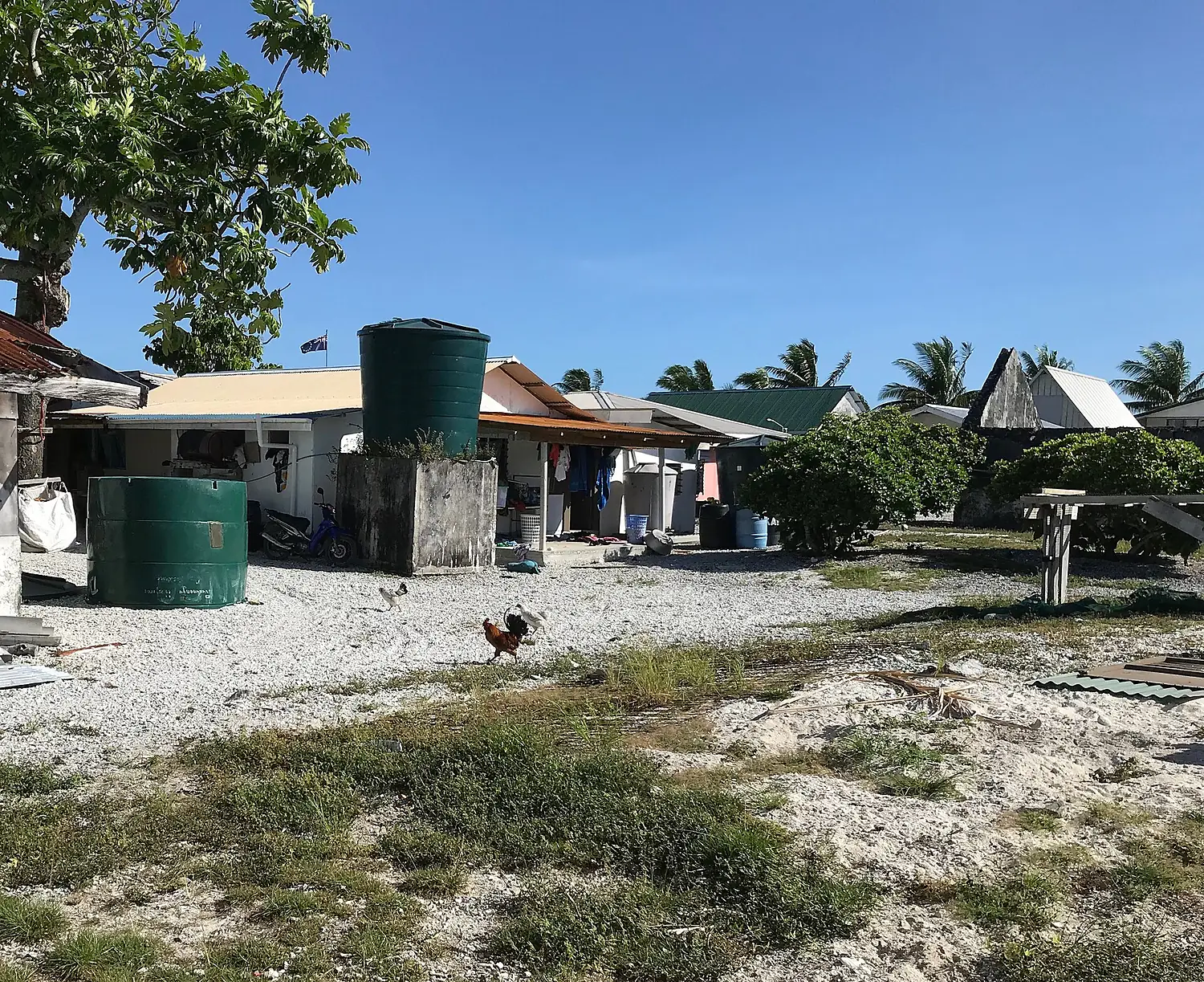 Water tanks and weeds