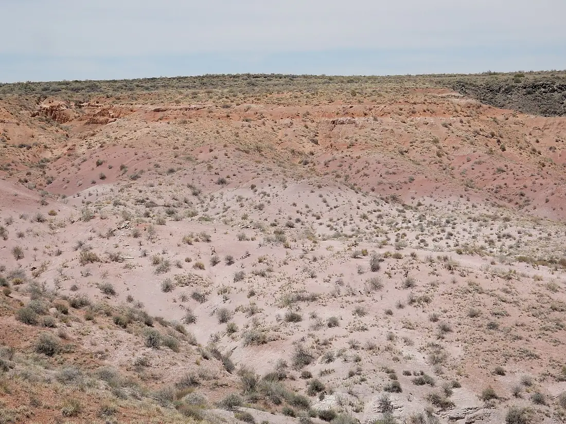 Bidahochi Formation on rim of Black Forest basin