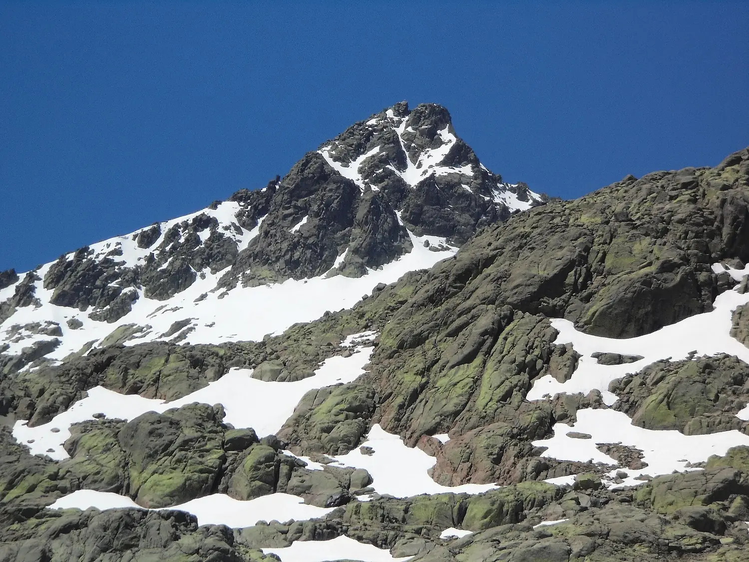 Pico almanzor