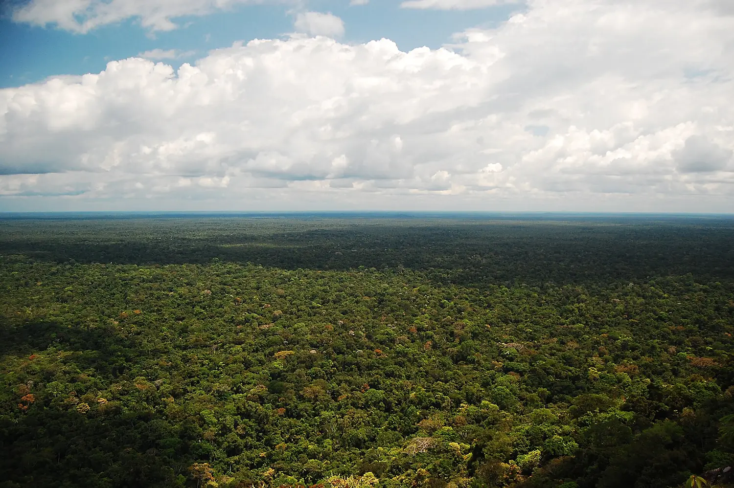 A vista de cima do Pico