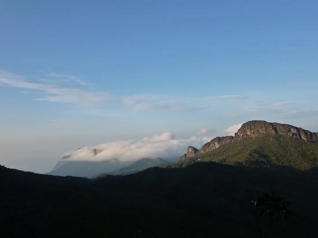 Pico da Neblina - Amazonas - Brasil