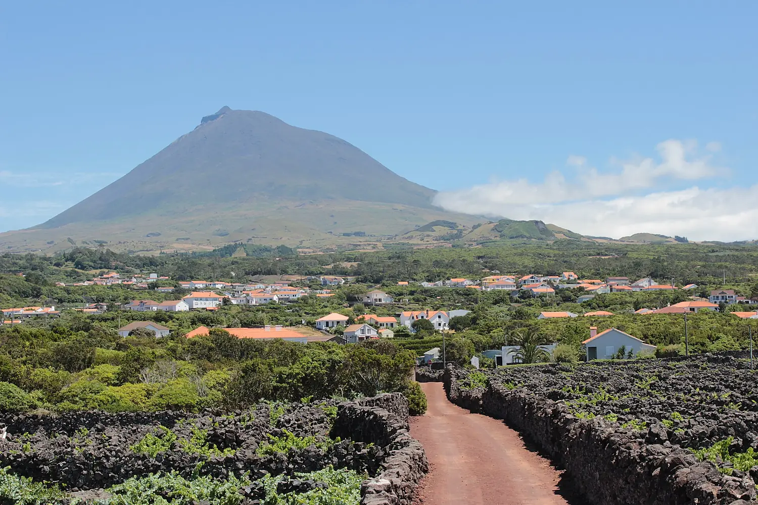 Madalena do Pico - panoramio (8)