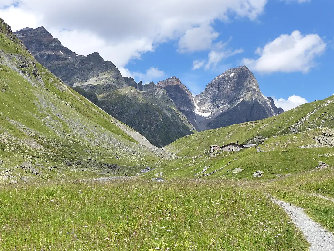 Alp Sout Piz Buin