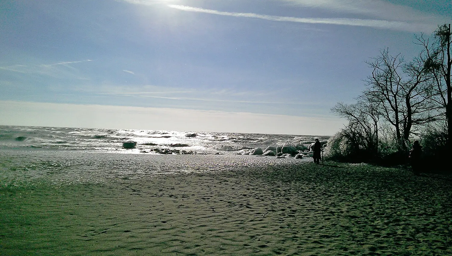 Point Pelee, Looking Southwest, Jan 1 2015