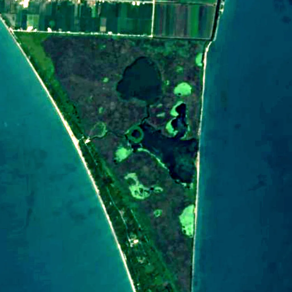 Parco nazionale di Point Pelee visto dall'alto (Sentinel-2)