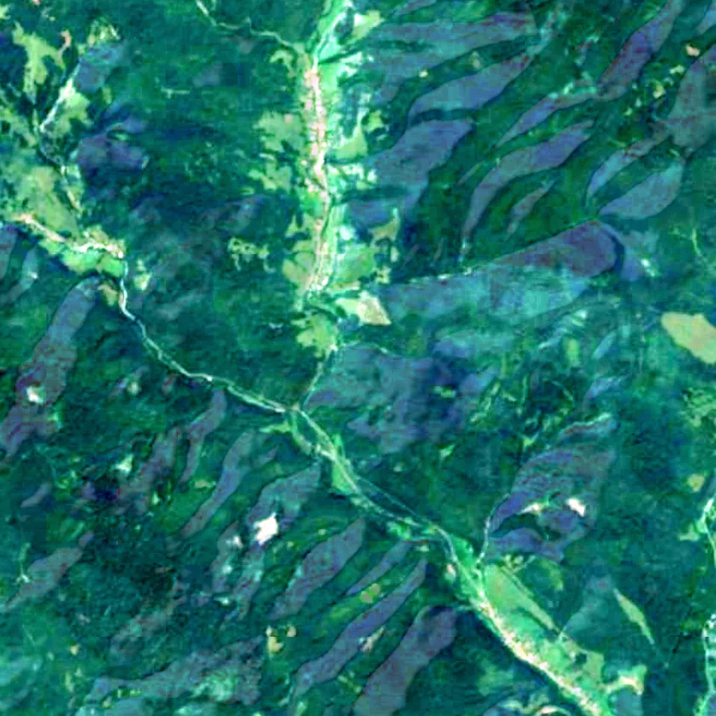 Poloniny Dark-Sky Park visto desde arriba (Sentinel-2)