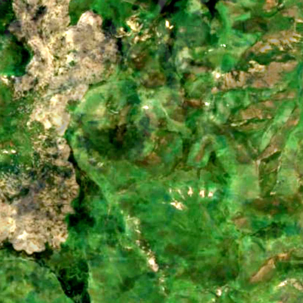 Porak von oben gesehen (Sentinel-2)