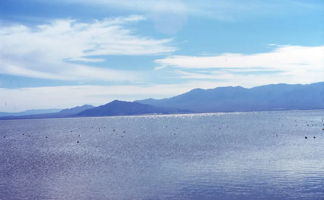 CA Salton sea