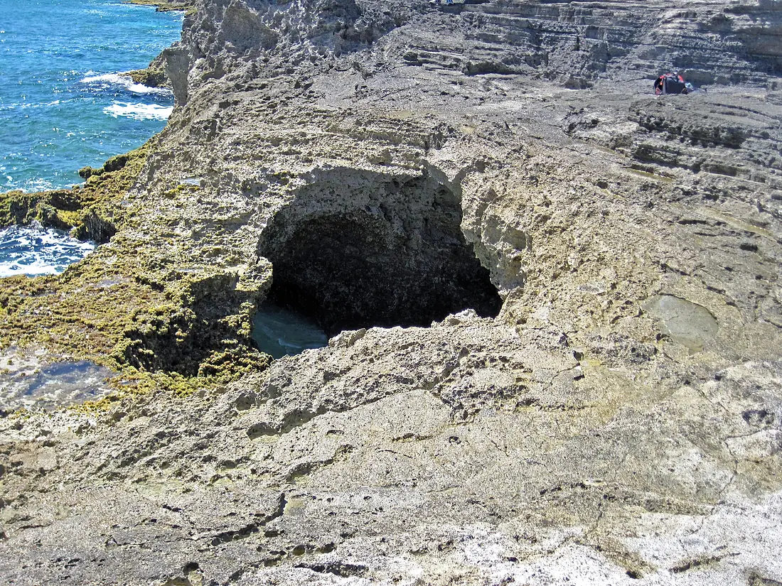 Blowhole in aragonitic limestone (just east of The Notch, southern margin of San Salvador Island, Bahamas) 1 (15418136074)