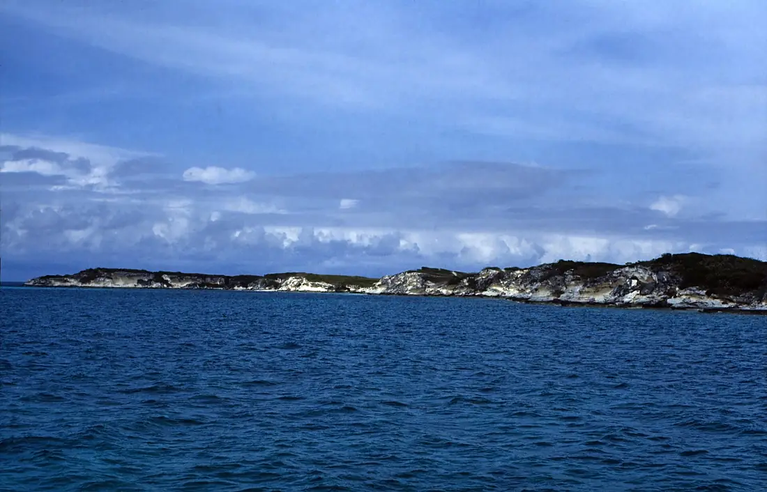 Bahamas 1989 (686) San Salvador (25885485586)