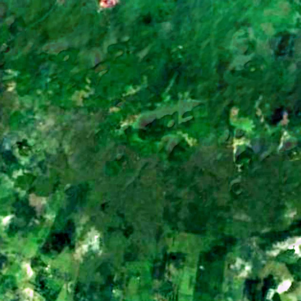 Isla Santa Cruz visto desde arriba (Sentinel-2)
