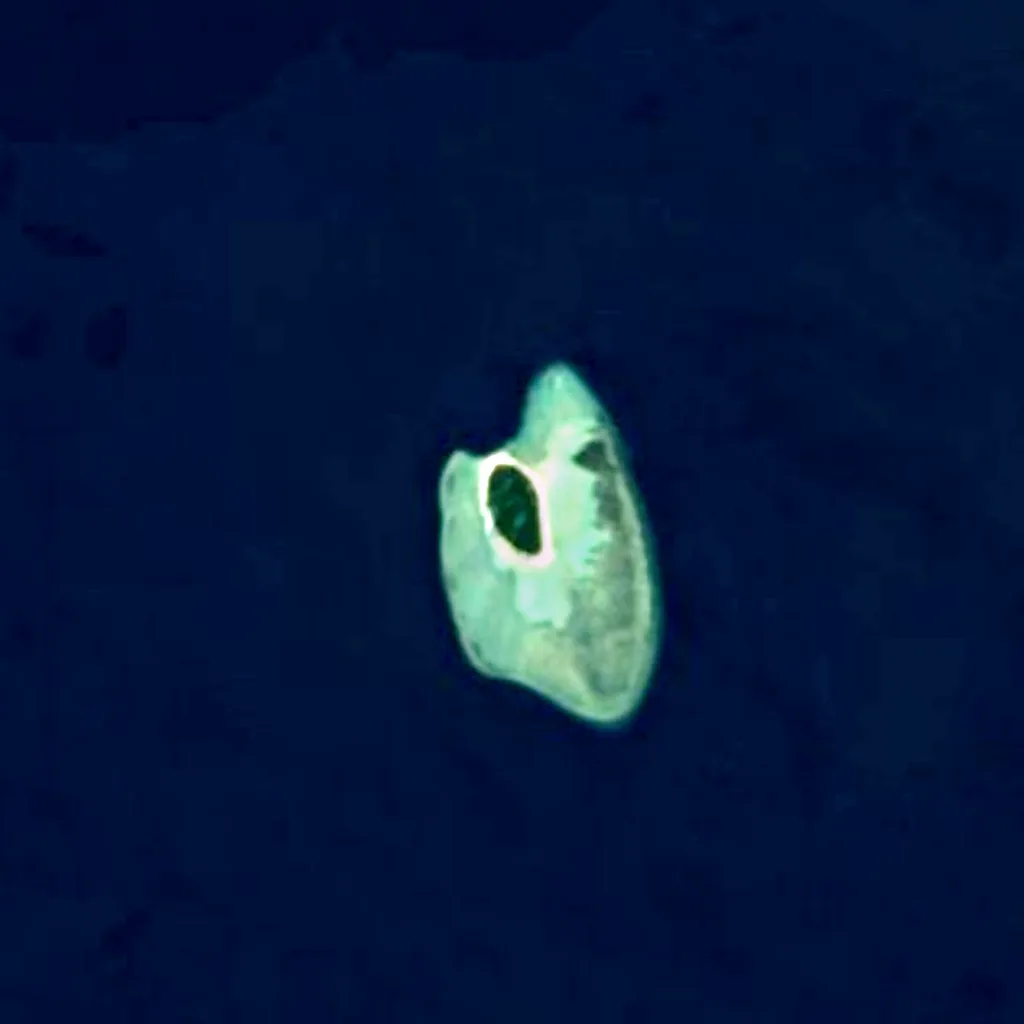 Sipadan visto dall'alto (Sentinel-2)