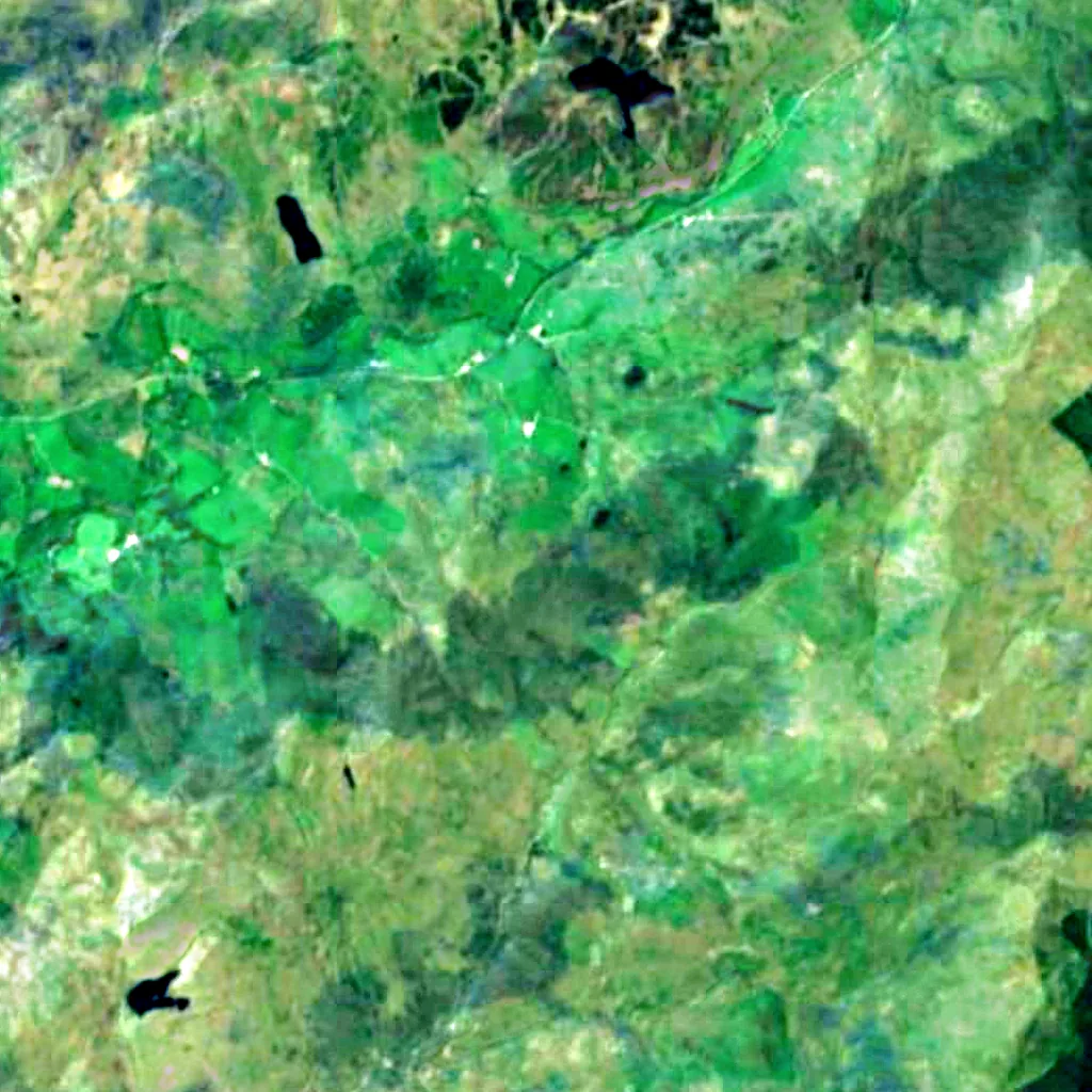 Snowdonia von oben gesehen (Sentinel-2)