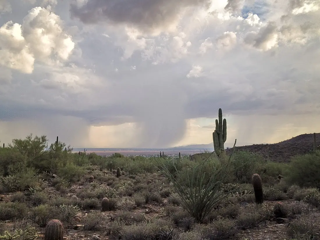 2014 Arizona monsoon rain Sonoran Desert