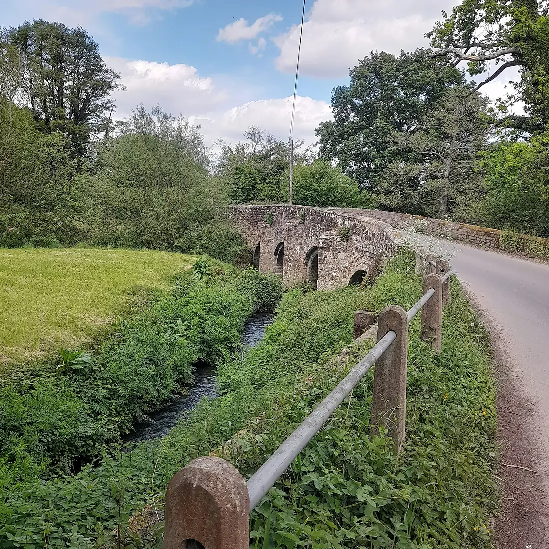 Durford Bridge (Tony Holkham)