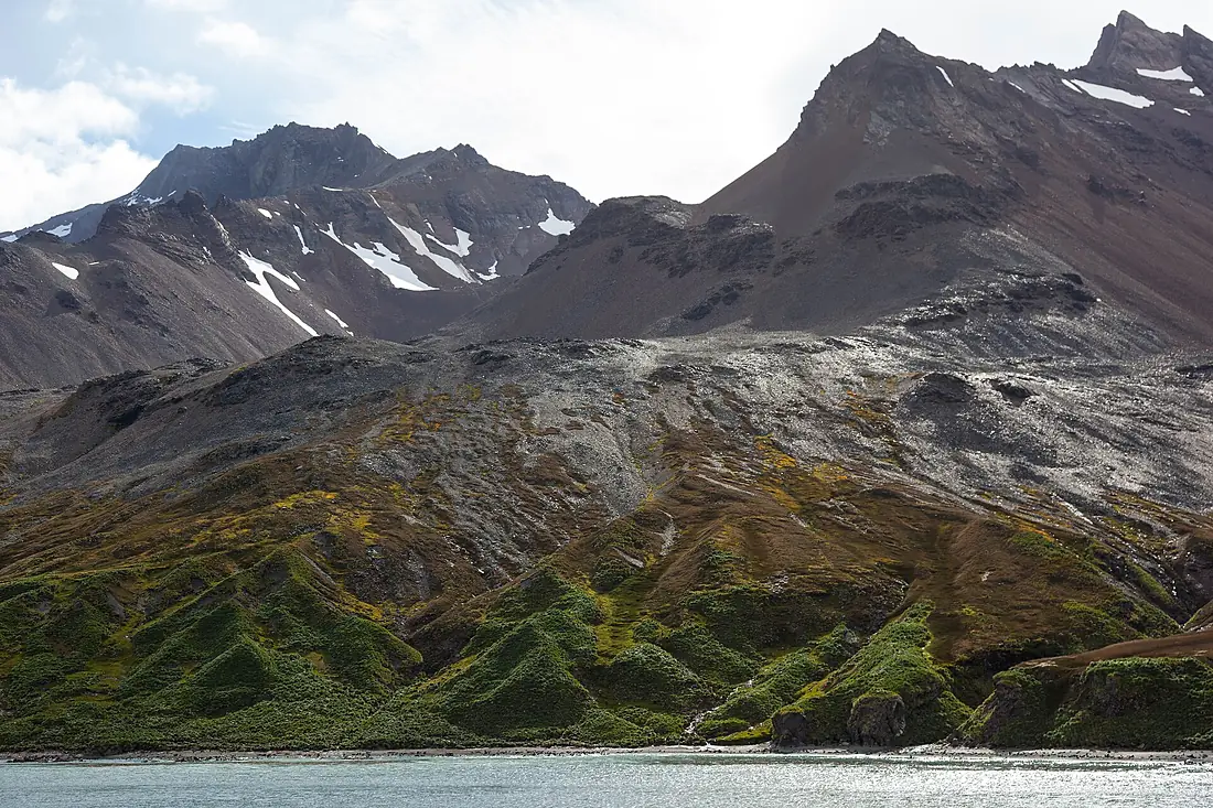 20090110-IMG 0584 (15908519059)