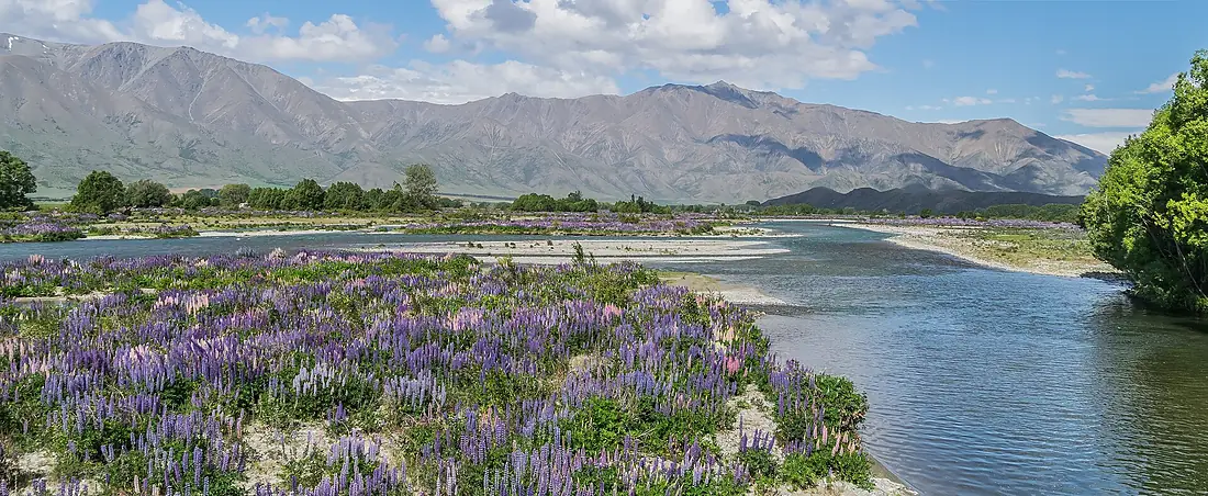 Ahuriri River 04