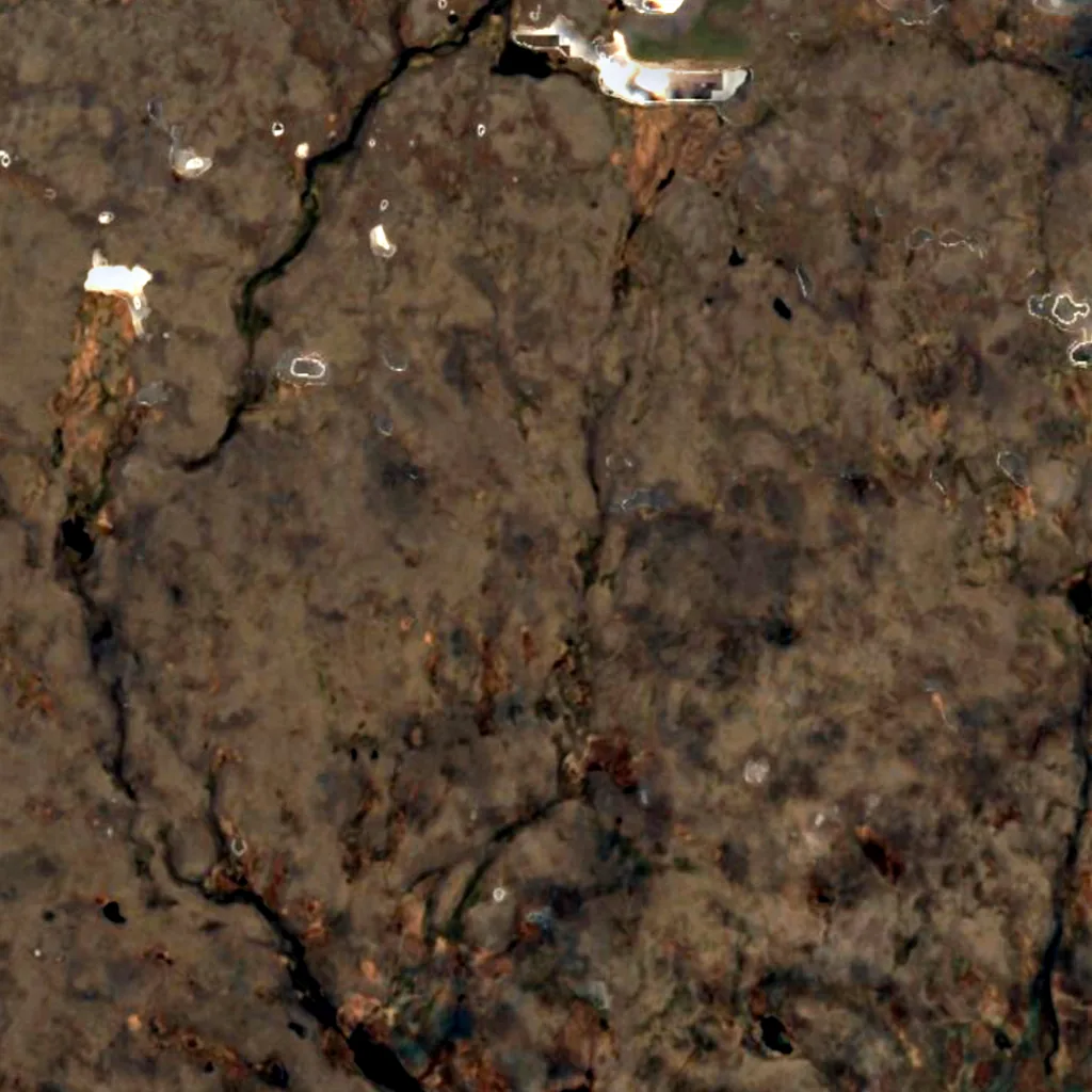 Isola di San Lorenzo visto dall'alto (Sentinel-2)