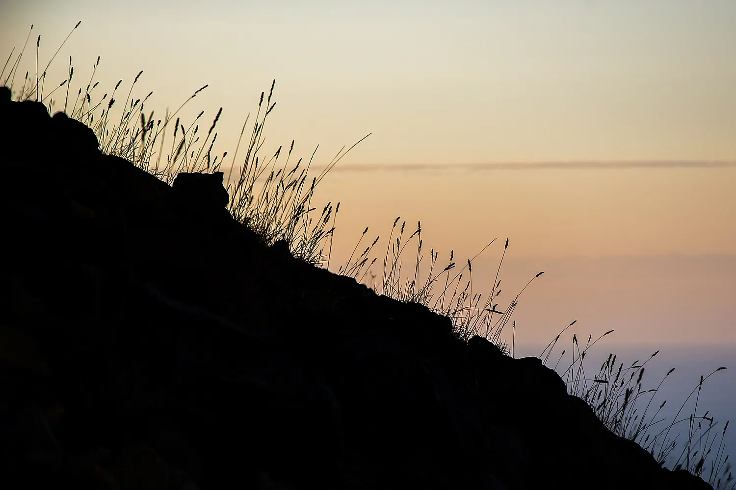 A Piece of Stromboli (28163198242)
