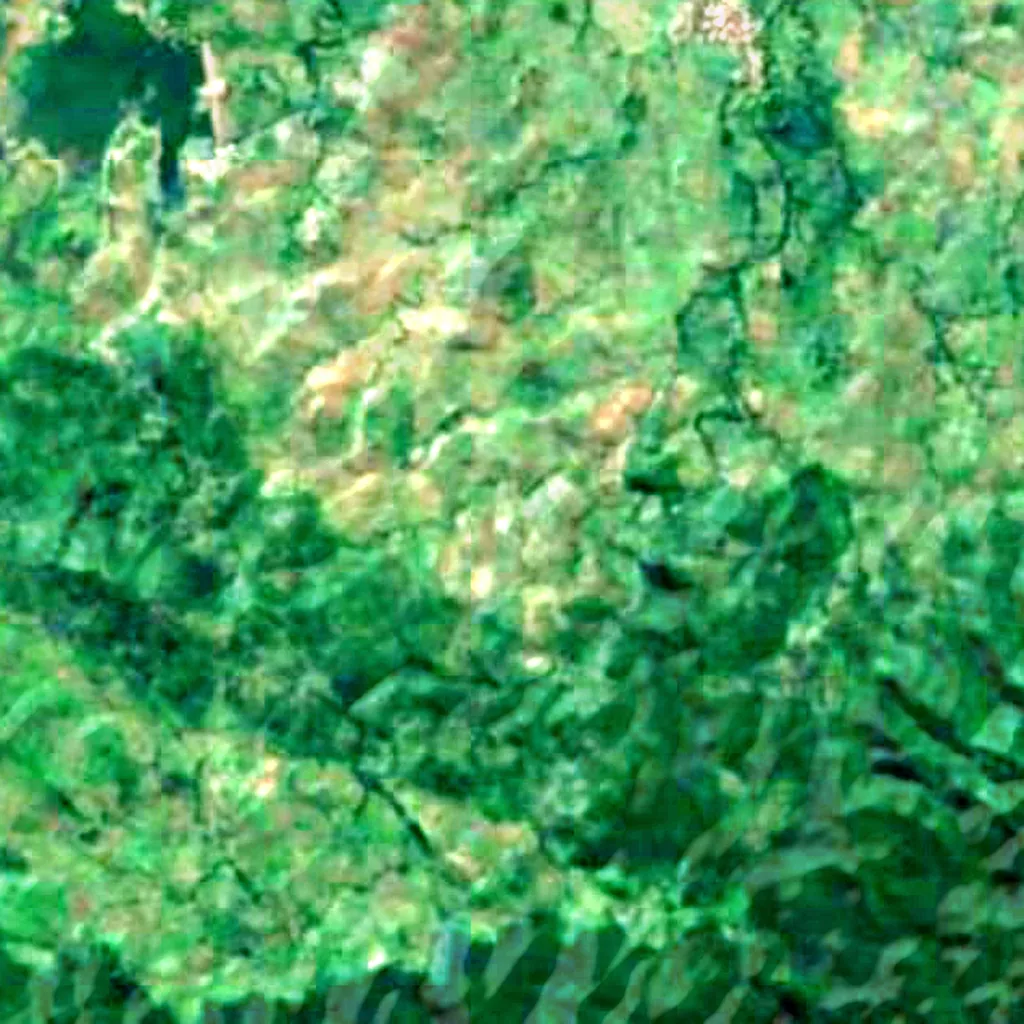 Sumbawa visto de cima (Sentinel-2)
