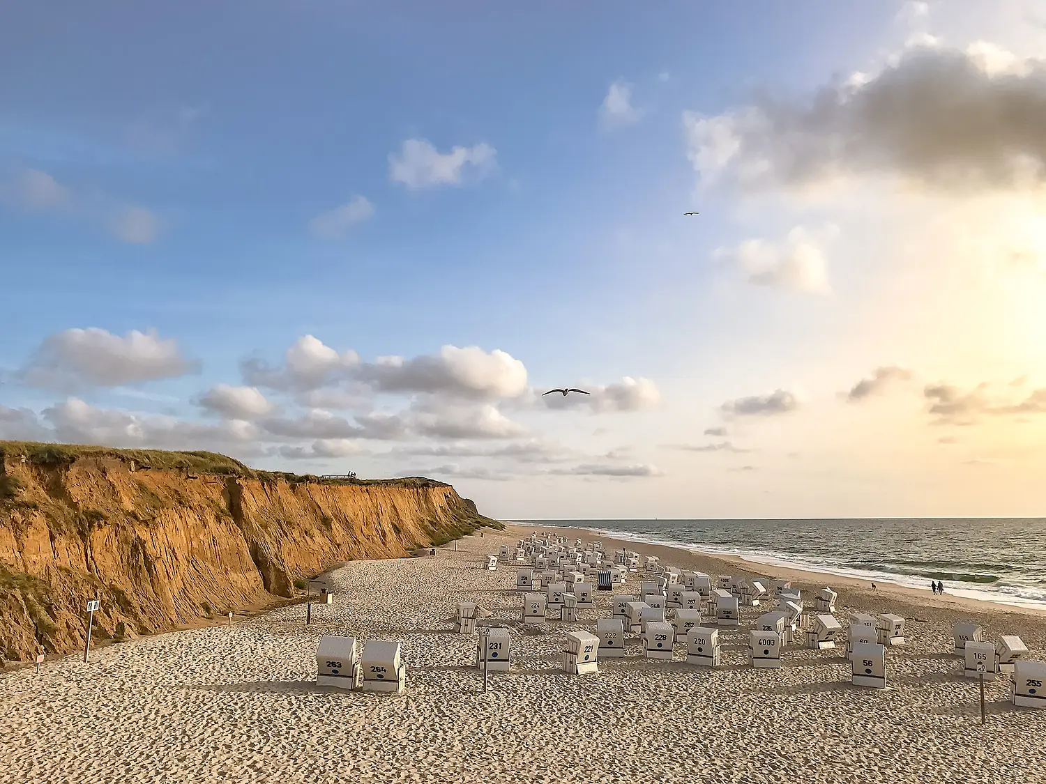 Rotes Kliff Sylt (24237231827)