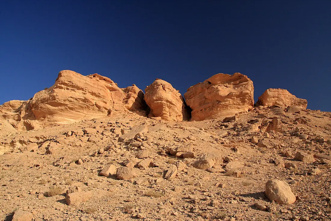 Syrian Desert (5079766124)