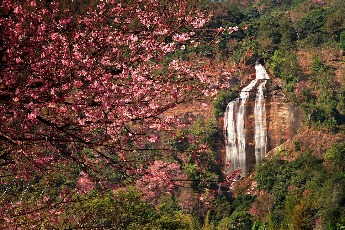 Siriphum Waterfall (Doi Inthanon National Park, Chiang Mai, Thailand)