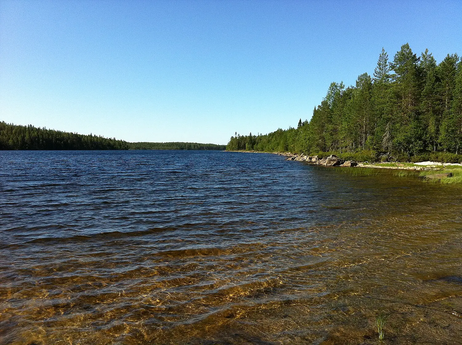 Топозеро-залив Ламбашгуба - panoramio