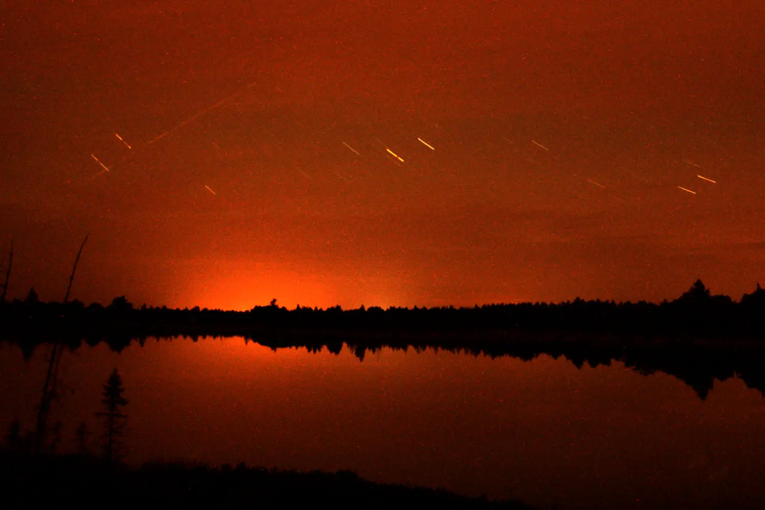 Perseid Light Trails