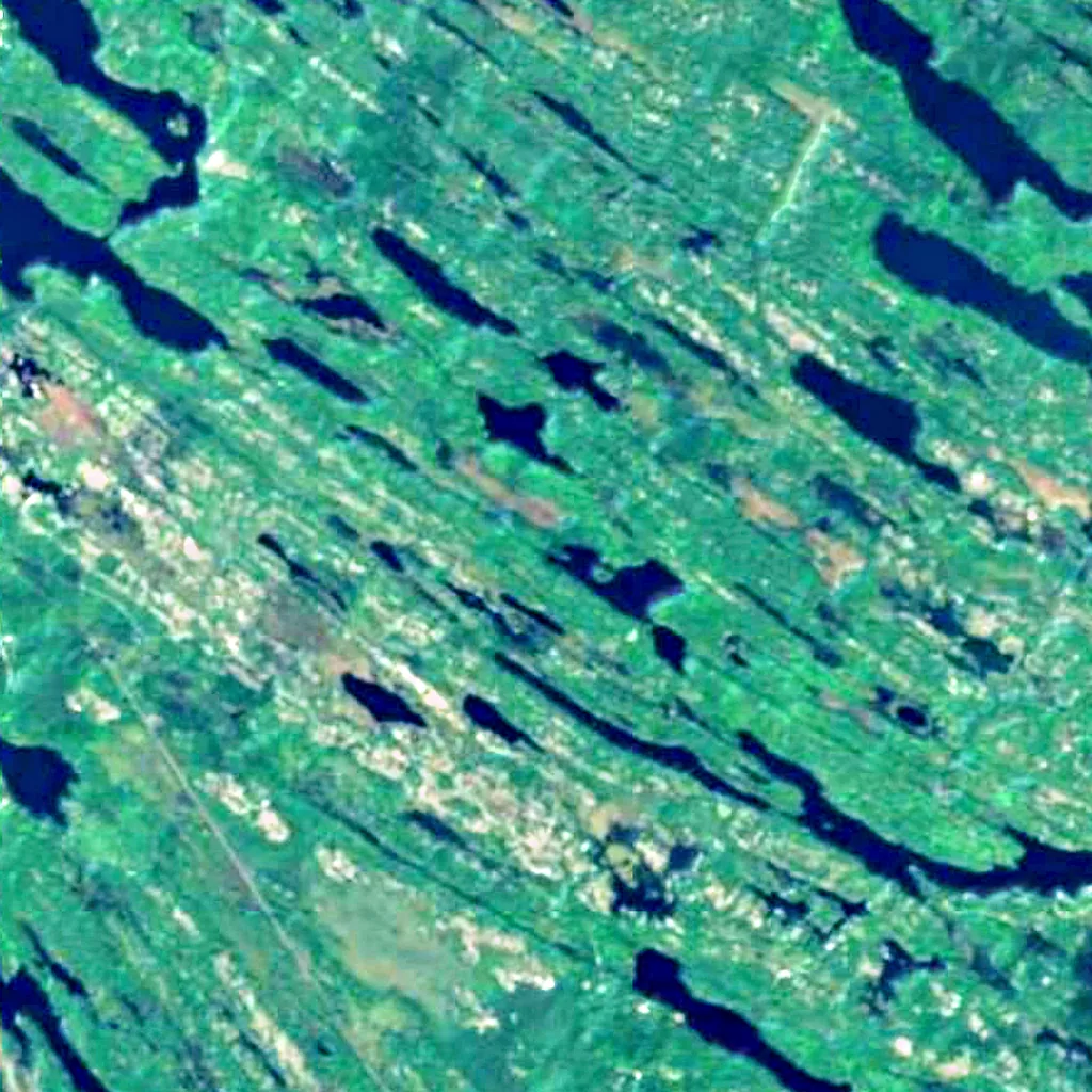 Torrance Barrens vu d'en haut (Sentinel-2)