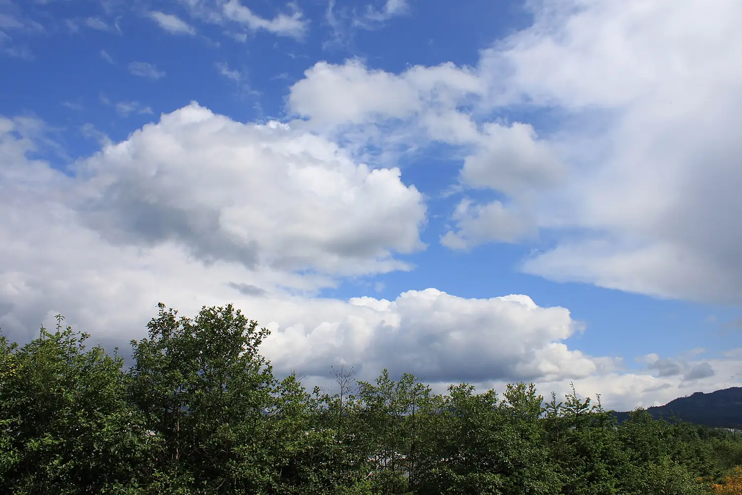 Alberni Valley Clouds (5830782736)
