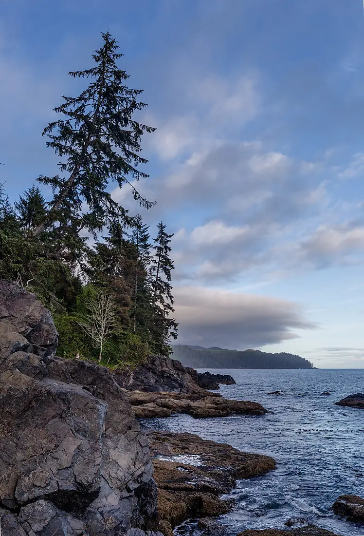 Beach by Little Kuitsche Campsite, Juan de Fuca Trail, Vancouver Island, Canada 35