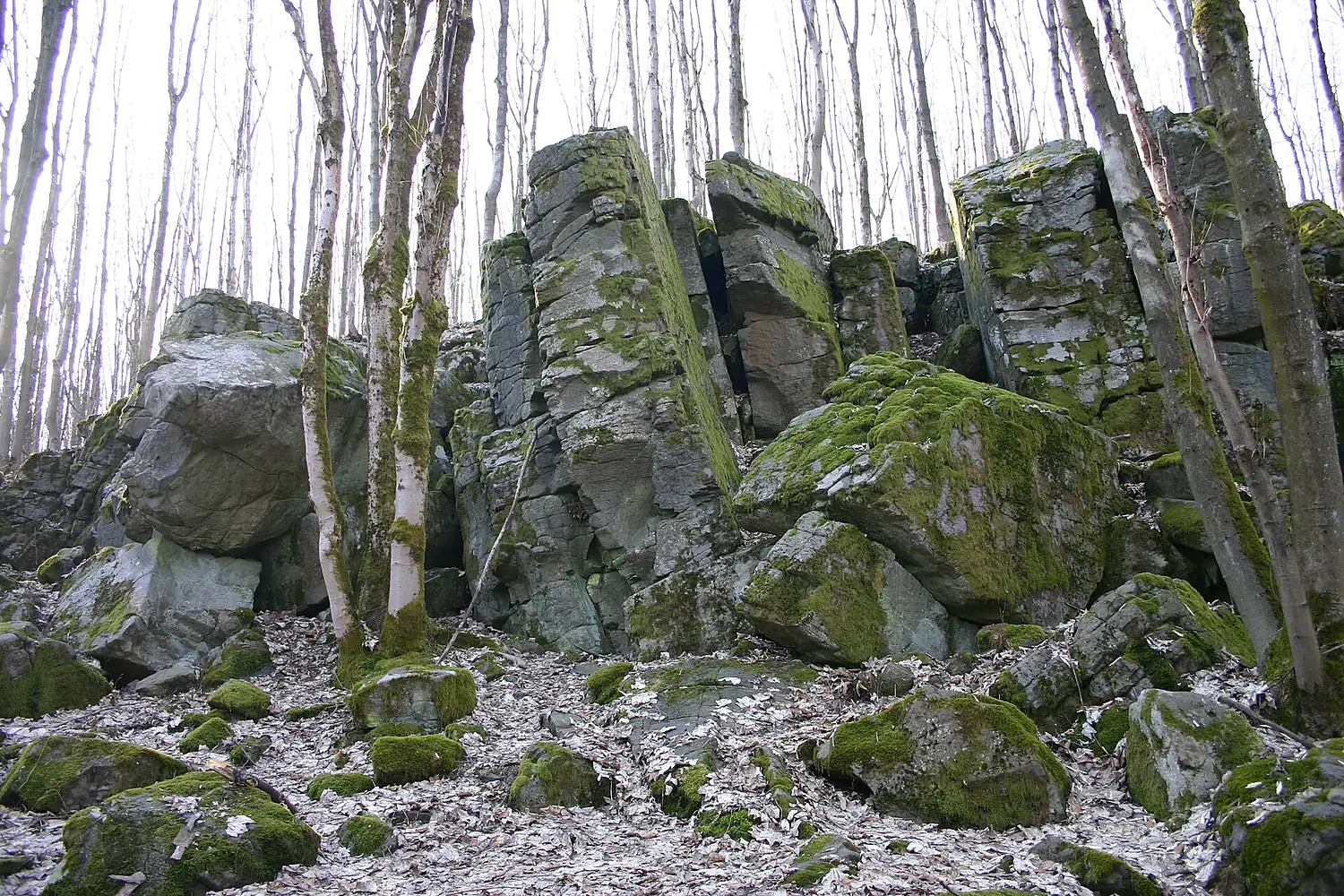 2009-03 Uhuklippen