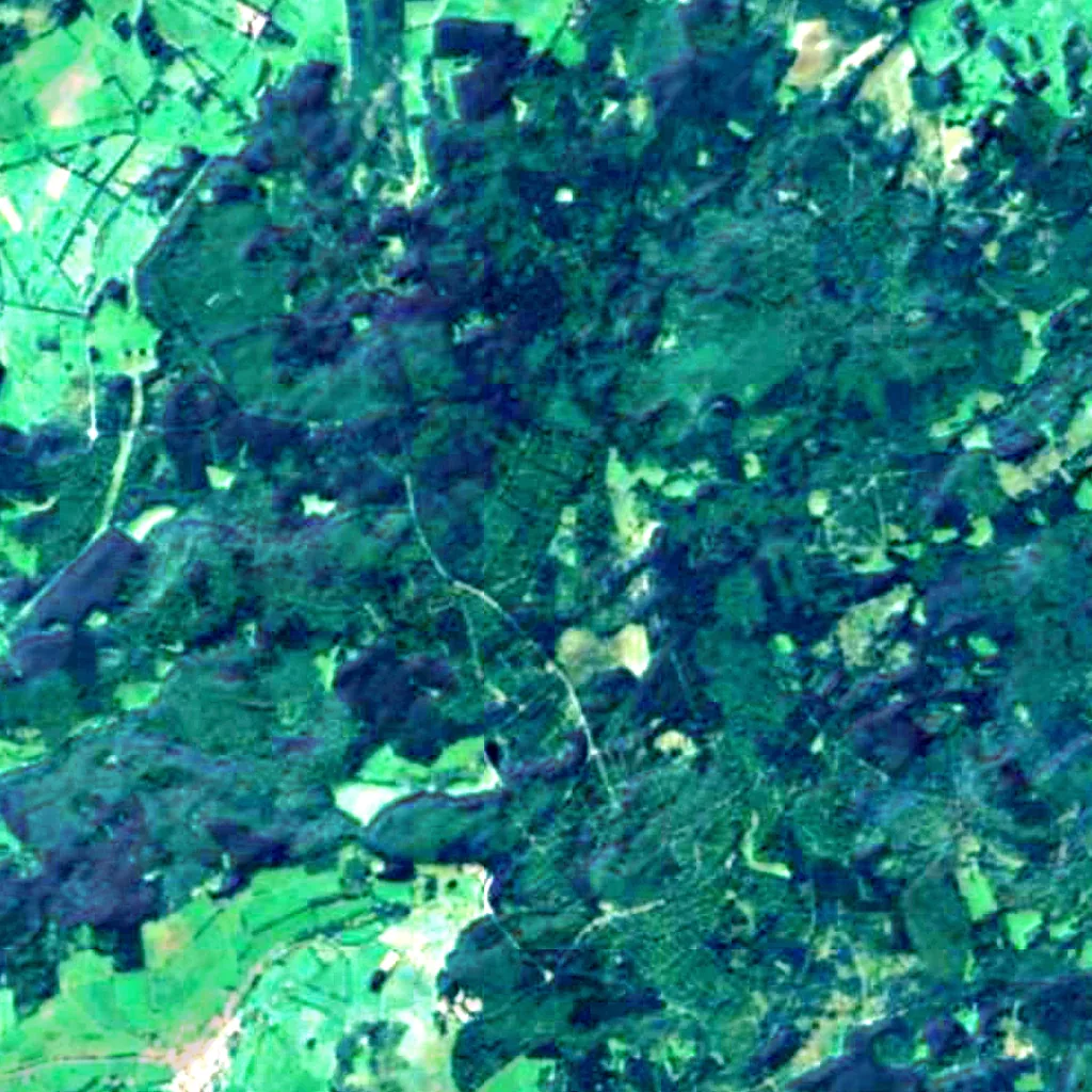 Vogelsberg visto dall'alto (Sentinel-2)