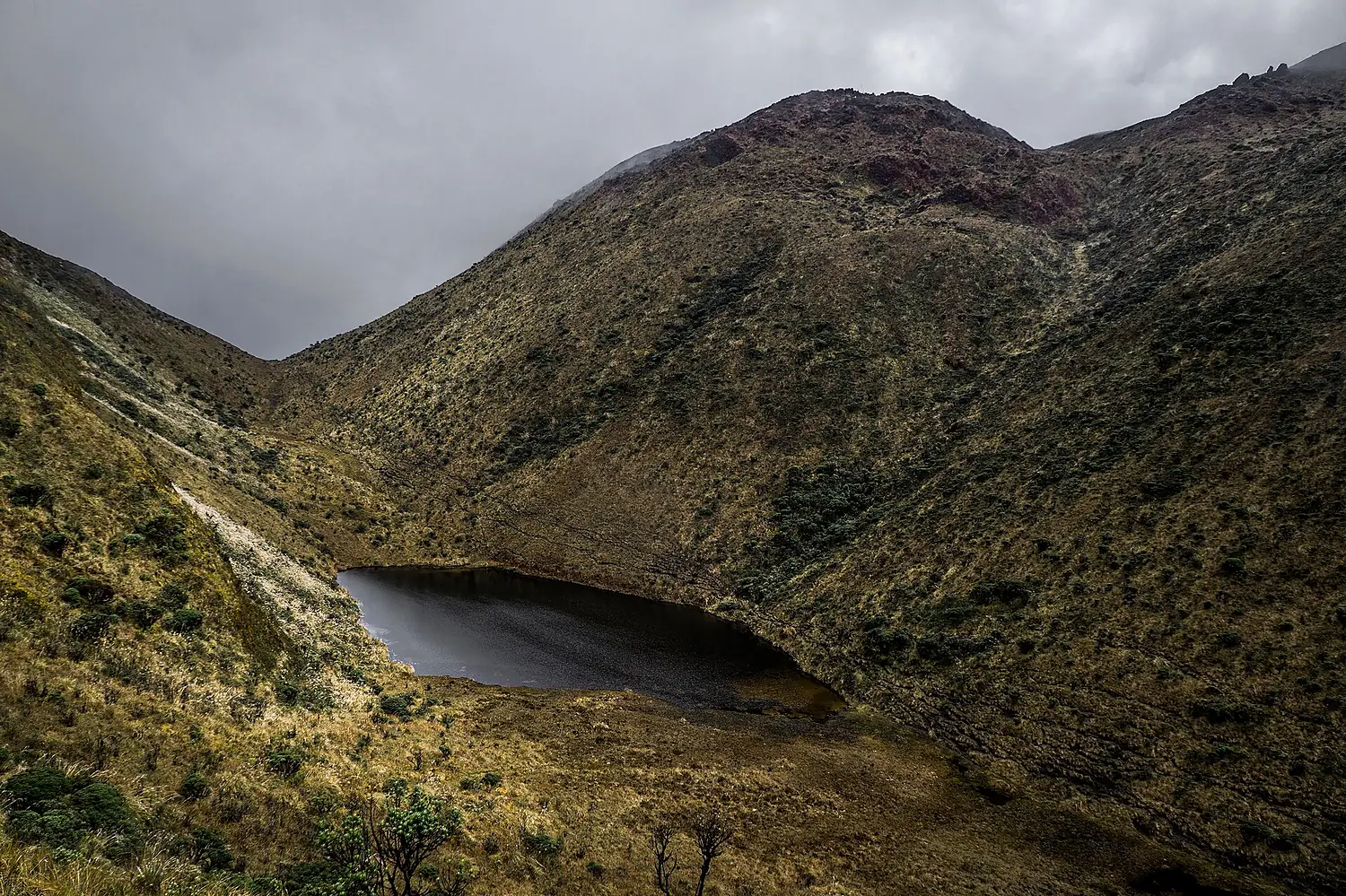Laguna Negra - Volcan Azufral