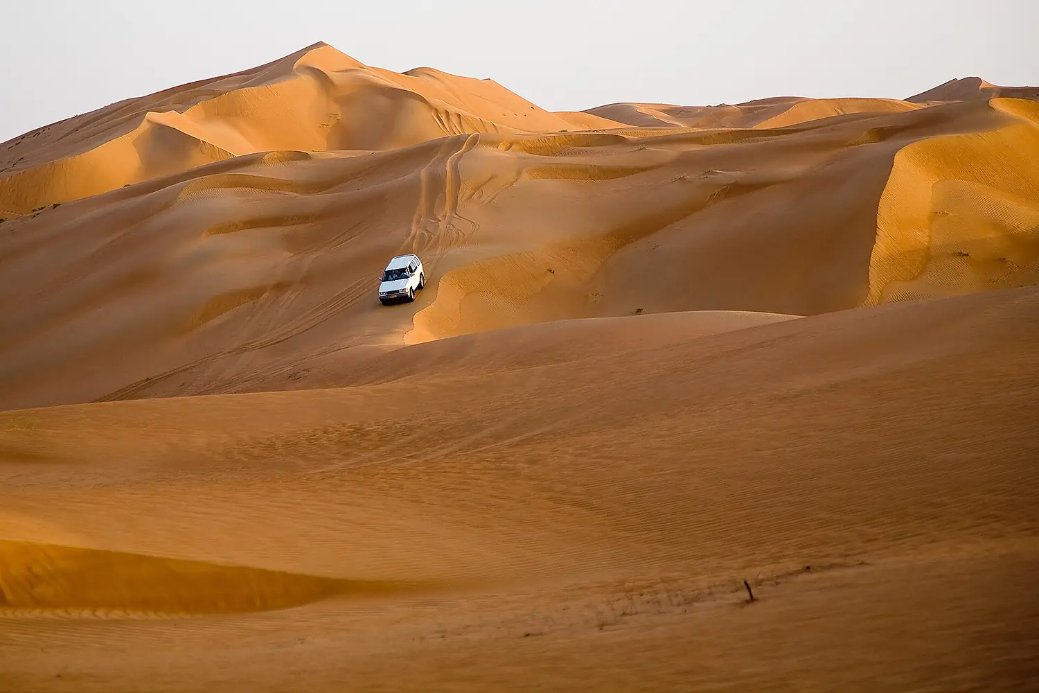 Wahiba Sands (12)