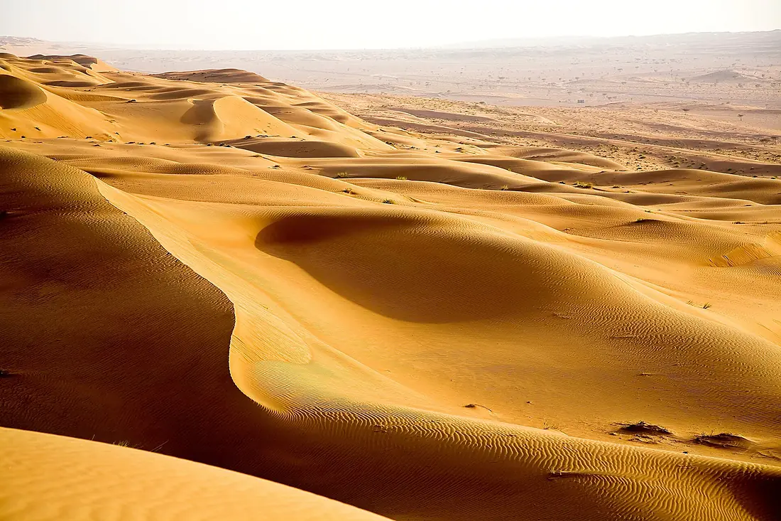 Wahiba Sands (7)