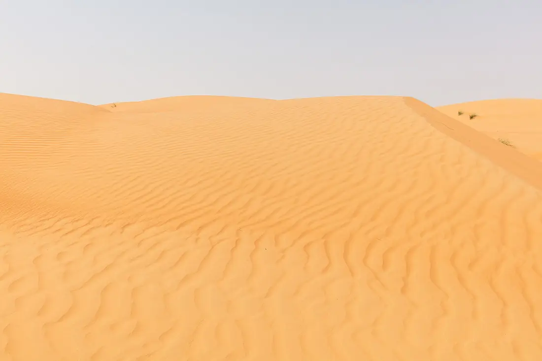 Desierto de Wahiba, Omán, 2024-08-17, DD 05