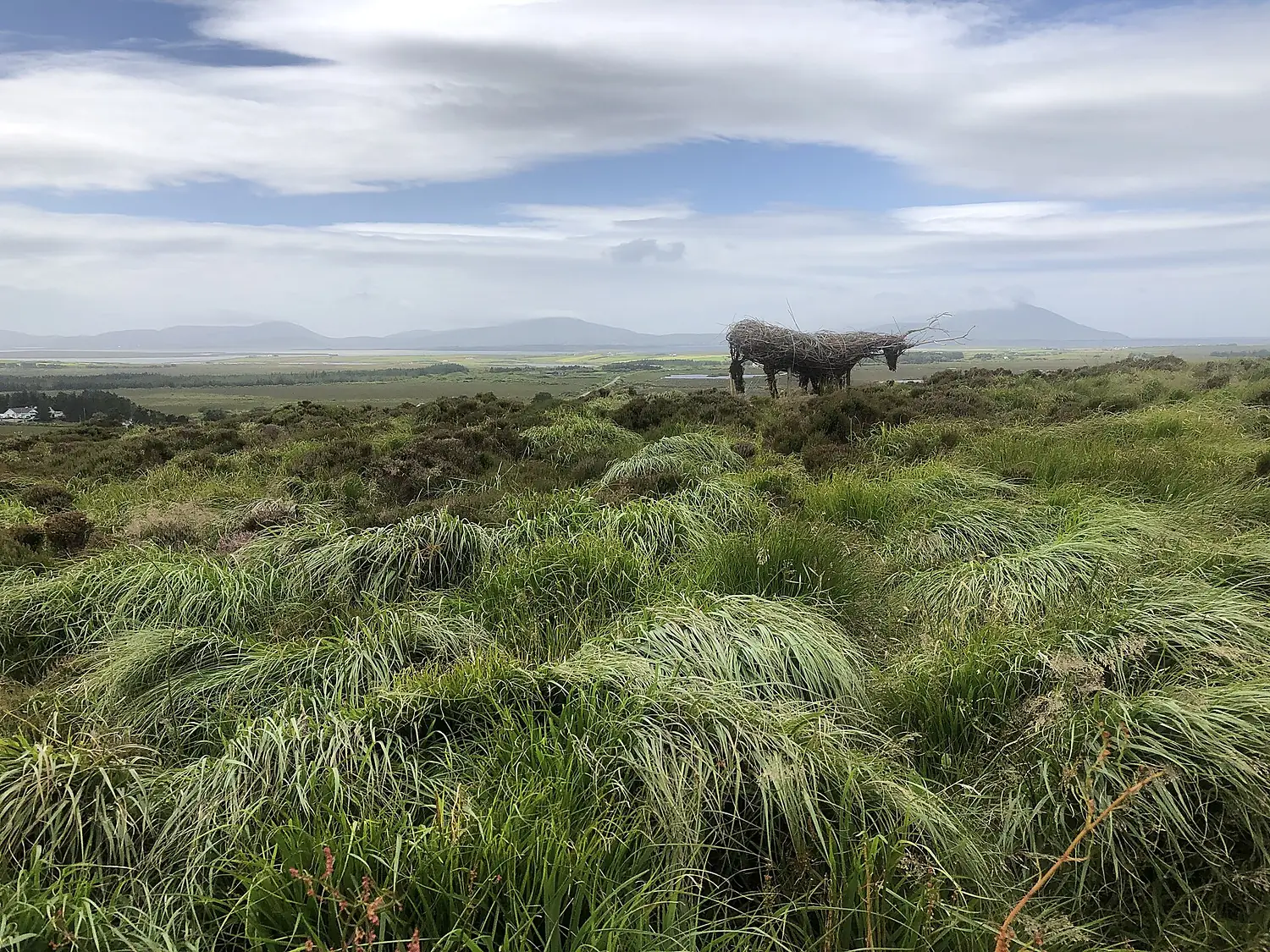 Wild Nephin Ballycroy National Park