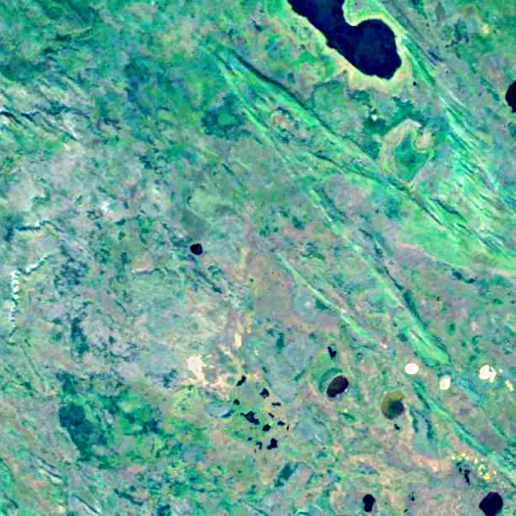 Wood-Buffalo-Nationalpark von oben gesehen (Sentinel-2)