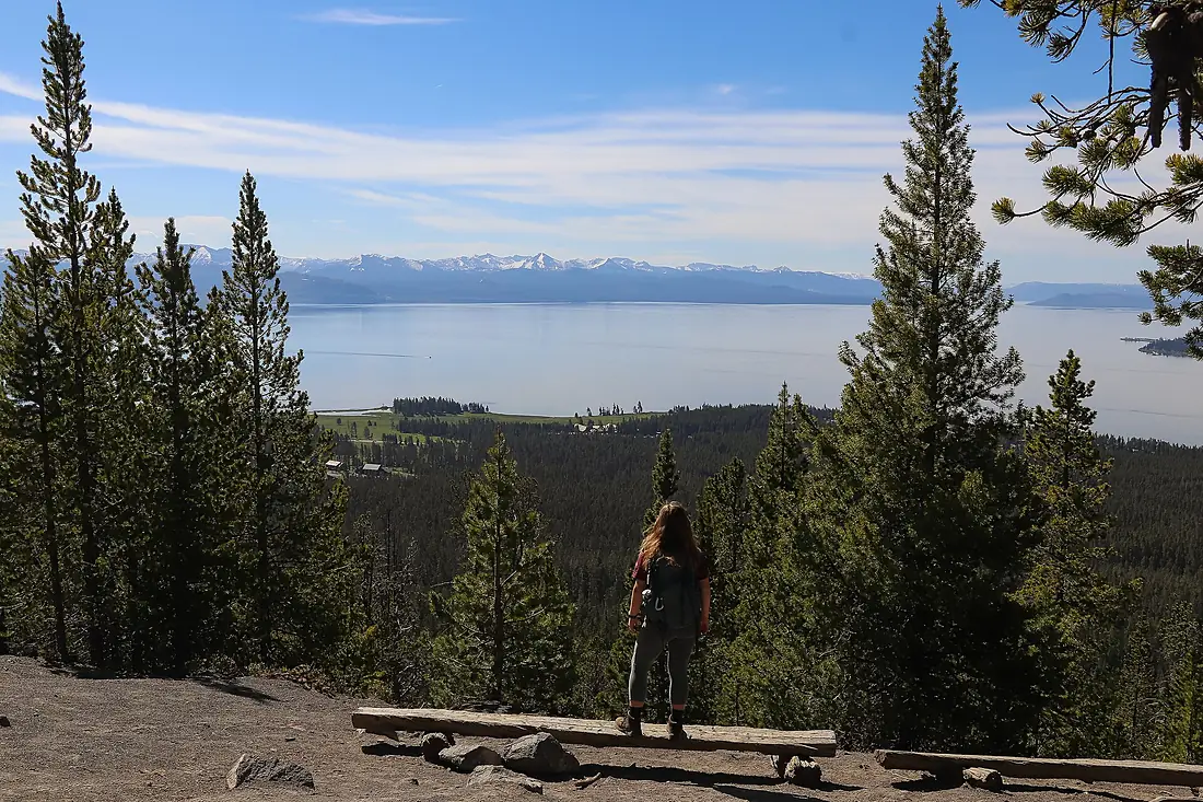 A hiker takes in views from Elephant Back Mountain (53527537361)