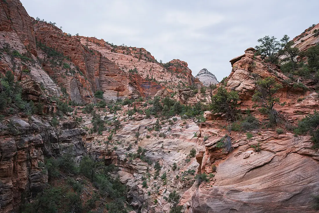 Cross-bedded Navajo Sandstone, Canyon Overlook Trail, Zion National Park, Utah
